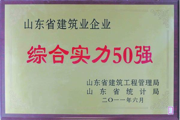 山东省综合实力50强